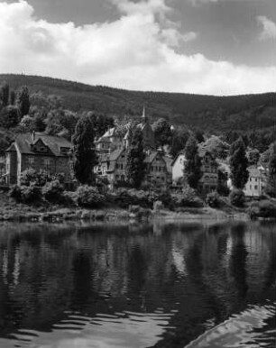 Neckar. Blick zum Ufer