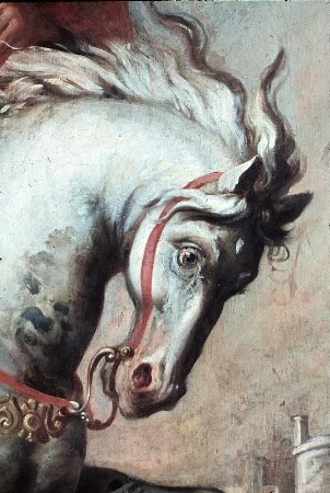 Marcus Curtius