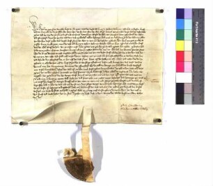 Kaiser Karl bestätigt dem Grafen Heinrich von Montfort die wörtlich inserierte Urkunde von 1348 Januar 30.