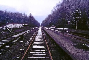 Rohlfshagen