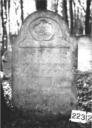 Grabstein 2232