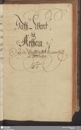 Saltz-Werck bey Arhern. In der Graffschafft Mannsfeldt in Thüringen