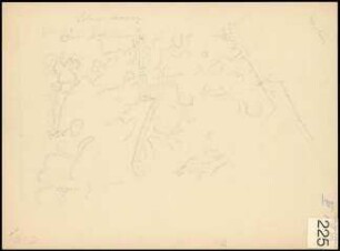 Zeichnung 225. Topographie
