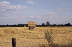 Getreidefeld: Wagen mit Stroh beladen