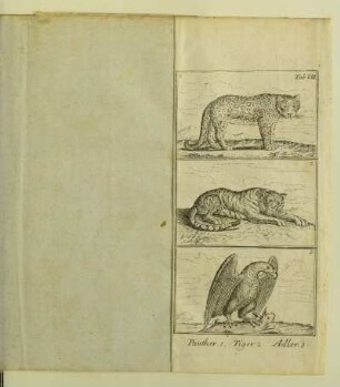 Panther 1. Tiger 2. Adler 3.