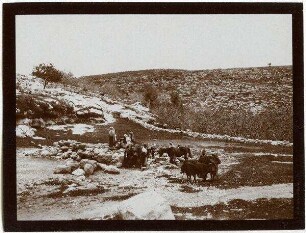 bir el-fanwar westl. v. idna