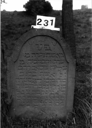 Grabstein 231