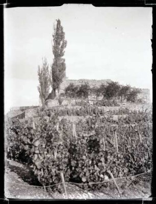 Burgruine, Foto: Schuster September 1911