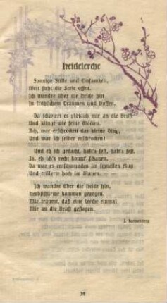 Heidelerche