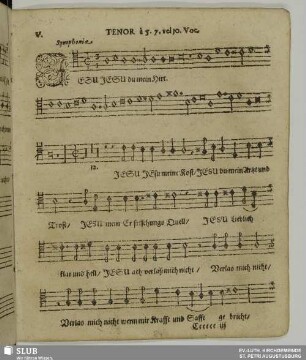 V. Jesu du mein Hirt