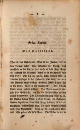 Cabanis : Roman in sechs Büchern, 4. Die Vaterstadt