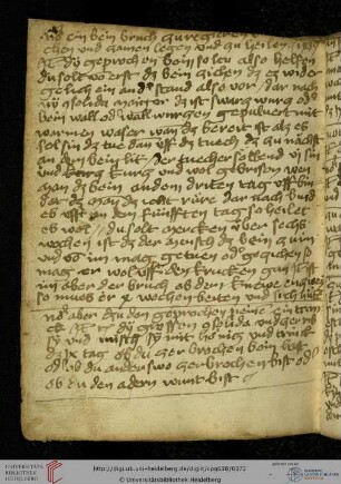 Wundarznei, 15 Rezepte und Maßnahmen