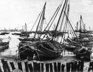 An der Küste : Blick auf einen Strand und eine große Anzahl von vor der Küste liegenden Schiffen, vermutlich in Daressalam