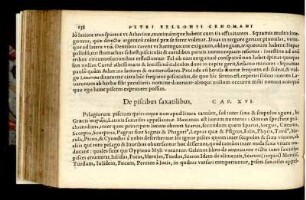 De piscibus saxatilibus