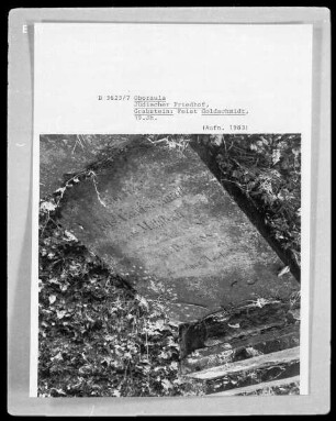 Grabstein der Peist Goldschmidt, gestorben 1919