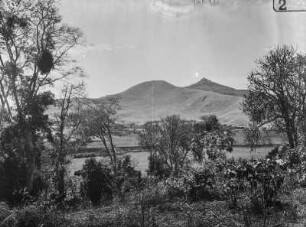 Landschaft : Blick durch Baumwipfel auf eine bergige Landschaft
