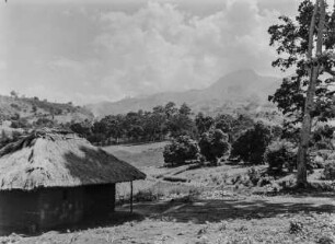 Kulturlandschaft : Kulturlandschaft am östlichen Rand der Uluguru-Gebirgskette nahe Matombo