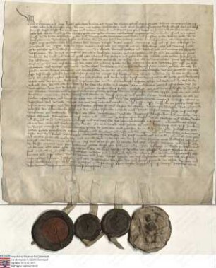Herman [III.] und Jorge Riedesel (Ritesel), Gebrüder, Katherina und Anna, ihre ehelichen Hausfrauen, verkaufen Dechant und Kapitel der Peterskirch...