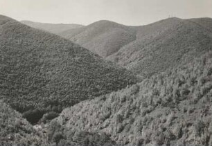 Ost-Rhodopen, Bulgarien. Waldgebiet mit Taleinschnitt bei Kobiljane