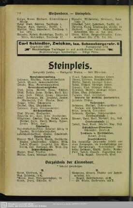 Steinpleis