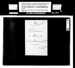 Bann 7/Schar 2 (Birkenwald) (Hauptmann Huber): Namensliste