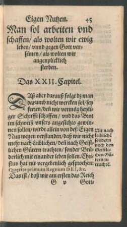 Man sol arbeiten und schaffen ... Das XXII. Capitel.