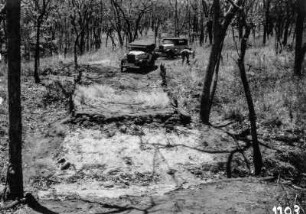 An einer Brücke : Expeditionsfahrzeuge in einer Savannenlandschaft an einer Brücke