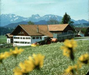 Fotografie: Fütterungstechnik, Grünfutter, Mähwerk, Ladewagen, Betriebsgebäude
