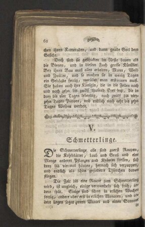 V. Schmetterlinge