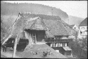 Schwarzwaldhaus bei Freiburg-Kappel