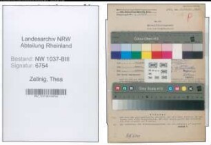 Entnazifizierung Thea Zellnig , geb. 19.03.1921 (Witwe)