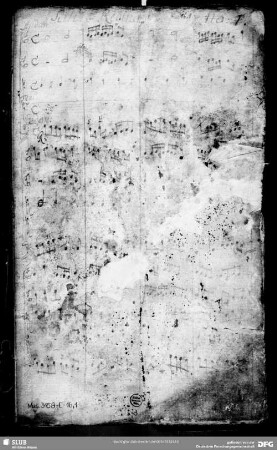 Salve regina