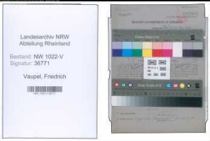 Entnazifizierung Friedrich Vaupel , geb. 26.04.1903 (Revisor)