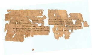Inv. 20350-8.18, Köln, Papyrussammlung