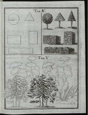 TAB. IV.