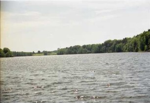Großensee: Nordufer Blick Richtung Südwesten