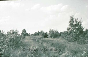 Nienwohlder Moor: Knickweg ins Hochmoor