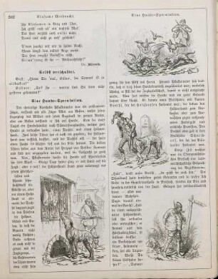 "Eine Hunde-Speculation"
