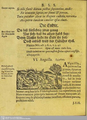 VI. Anguilla