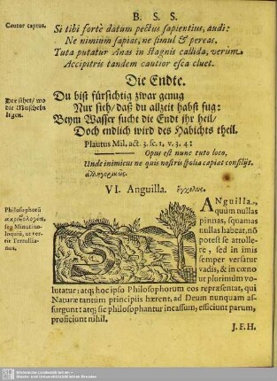 VI. Anguilla