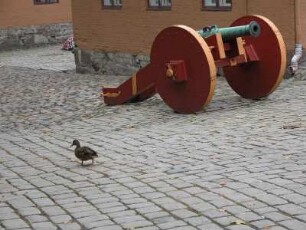 Festung Akershus, historische Kanone und Ente