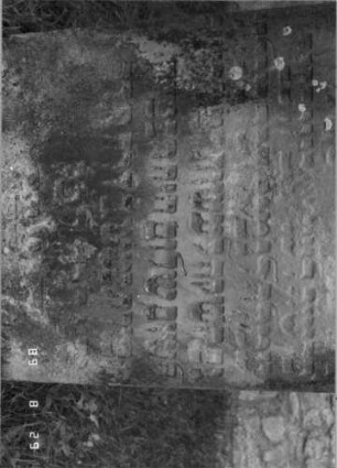 Grabstein 454 (Index: 100107995) Material: gelber Sandstein Zustand: stark verwittert und versalzen, teilweise Textverlust, schwarze Farbreste in den Lettern Maße HxBxT: 135x86x19 cm Beschreibung: Stele, geschwungen eingezogener Bogenabschluß: Grabstein 454B