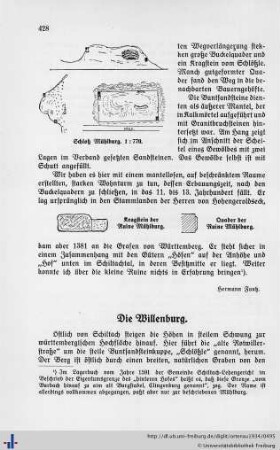 Willenburg (Fauß), Schenkenburg (Fauß), Burgstall (Fauß), Schlößle bei Schenkenzell (Fauß), Burg Wittichenstein (Fauß), Schlößle Böckelsbach bei Wittichen (Fauß), Schloß Hornberg (Reiß-Vasek), Althornberg (Reiß-Vasek)