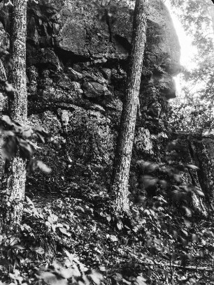 Felswand : Bäume vor einer Felswand am Devils Lake