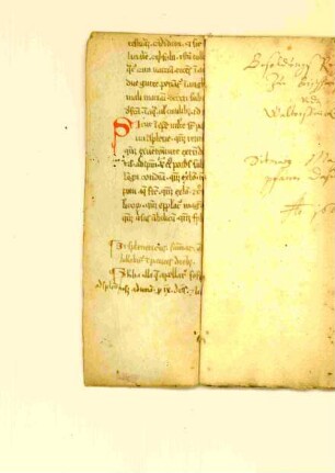 medizinischer Text