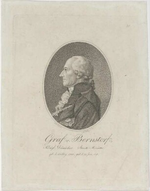 Bildnis des Graf v. Bernstorf