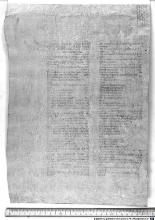 Vermerckt ein Copei der absagung wider herczog Albrecht unnd herczog wolfgang von bairn [et]c. - BSB Einbl. V,37 ab : Durchleuchtigen hochgepornen fürsten her Albrecht unnd her Wolffgang, pfallntzgrafn bey Rein ... Nach dem Ir ... Frawen Elizabethen pfallntzgräfin bey Rein ... Erdinge[n] ... mit gwalltsamer that ... eingenommen ...
