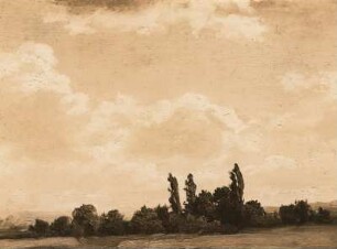 Landschaft bei Dresden mit Pappeln : Landschaft bei Dresden mit Pappeln. Ölgemälde (1859; C. W Müller)