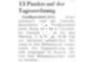 13 Punkte auf der Tagesordnung