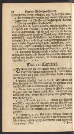 Das 12. Capittel.